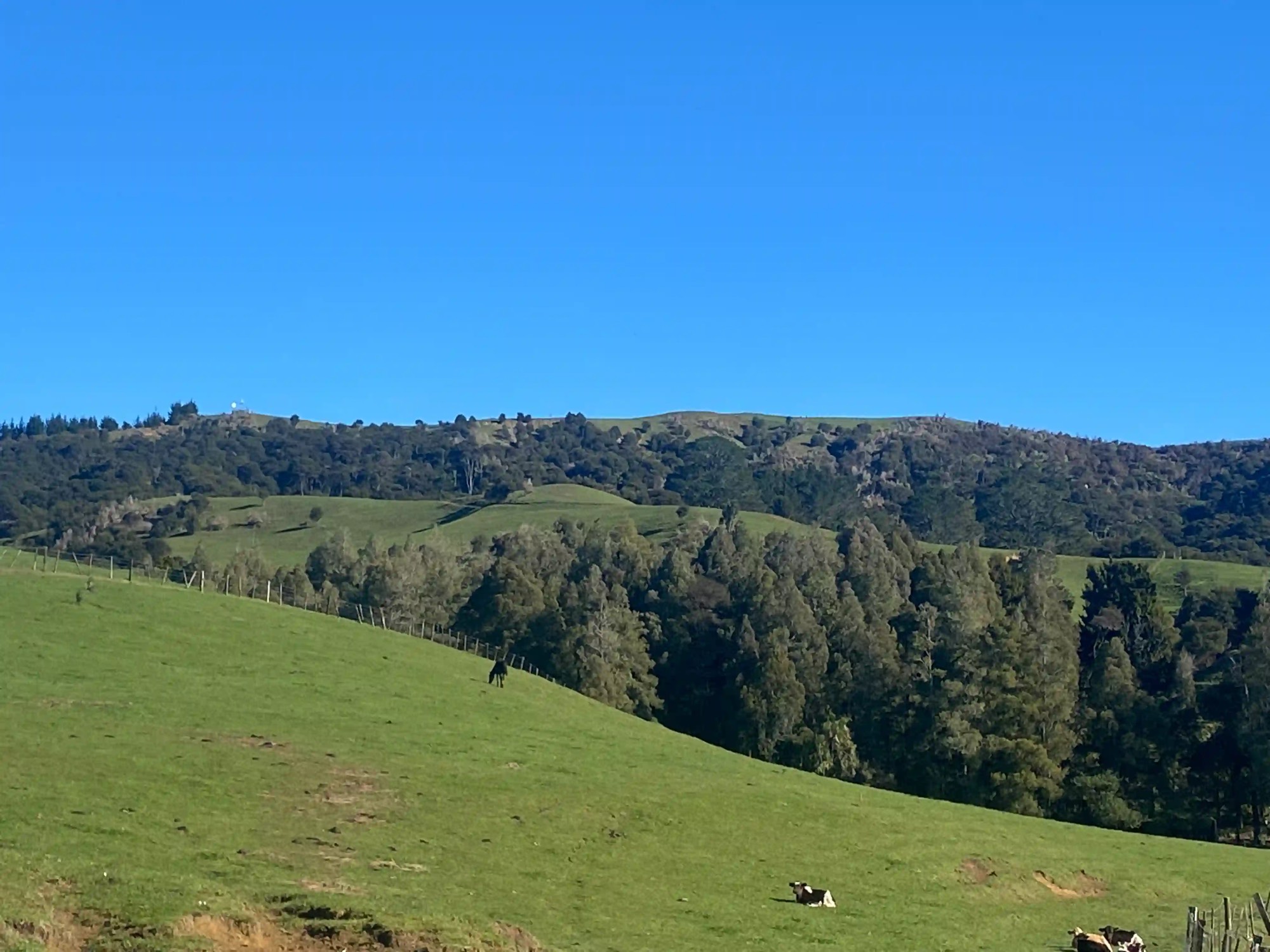 The rolling Karamu hills and Waikato countryside